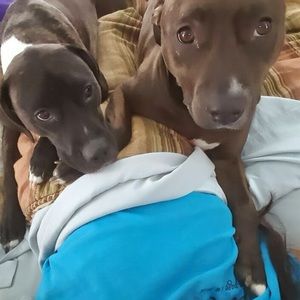 Meet your Posher, Riza